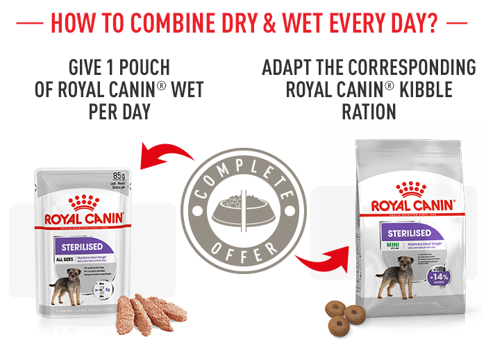 Royal Canin Sterilised Mini Adult Dry Dog MedicAnimal